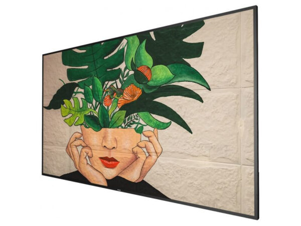 Philips 75BDL4511D/00 beeldkrant Digitaal A-kaart 190,5 cm (75") 500 cd/m² 4K Ultra HD Zwart 24/7 - Afbeelding 2