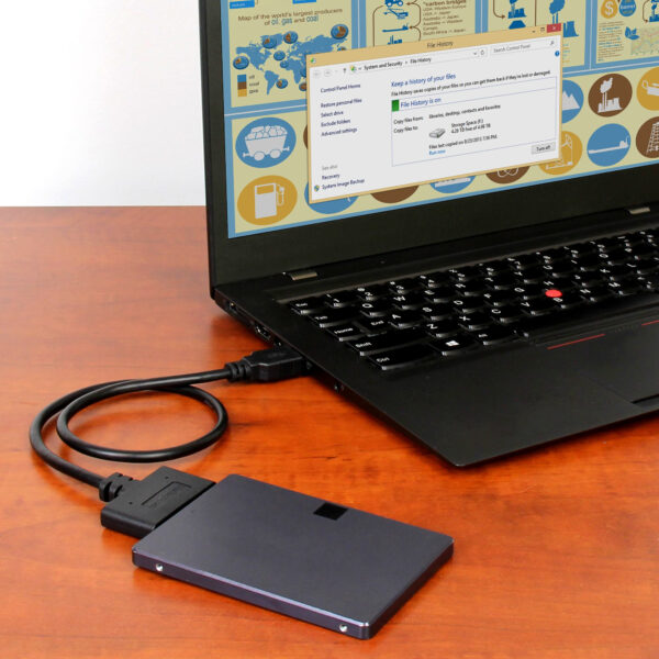 StarTech.com USB 3.1 (10 Gbps) adapterkabel voor 2,5" SATA-schijven - Afbeelding 2