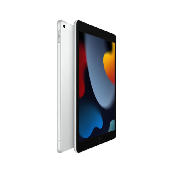 Apple iPad 4G LTE 256 GB 25,9 cm (10.2") Wi-Fi 5 (802.11ac) iPadOS 15 Zilver - Afbeelding 2