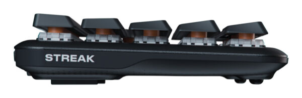 Fnatic STREAK65 LP - Black toetsenbord Gamen USB QWERTY US International Zwart - Afbeelding 2