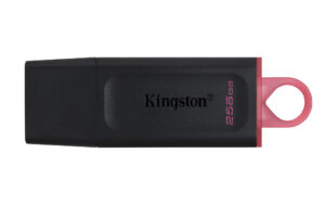 Kingston Technology DataTraveler Exodia - USB 3.2 Flash Drive