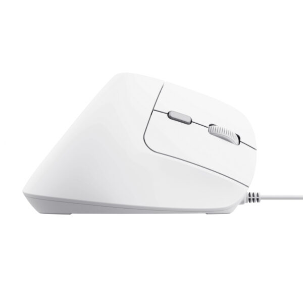 Trust Bayo II muis Kantoor Rechtshandig USB Type-A Optisch 2400 DPI - Afbeelding 5