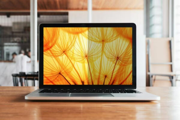 3M BPNDE003 schermfilter 39,6 cm (15.6") Laptop Randloze privacyfilter voor schermen - Afbeelding 2