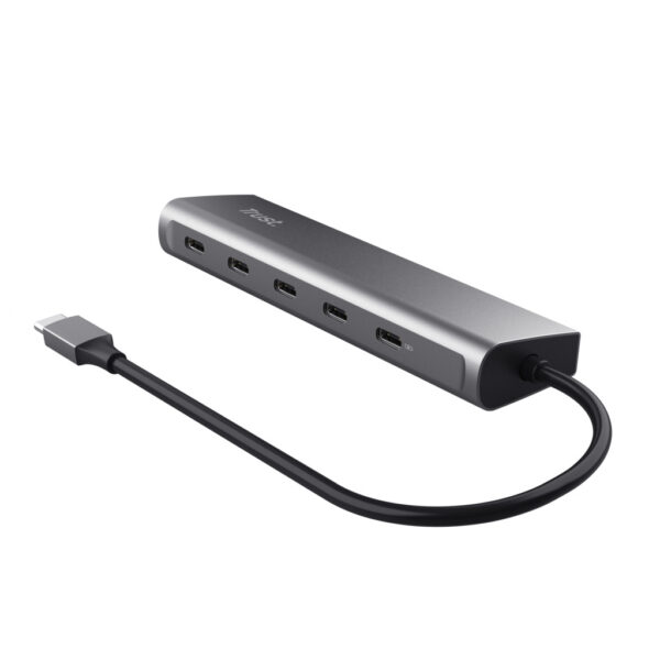Trust Halyx USB 3.2 Gen 1 (3.1 Gen 1) Type-C Zilver - Afbeelding 2
