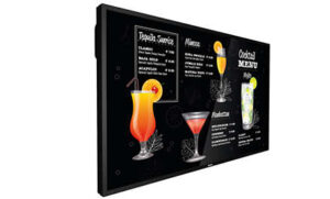 Philips 43BDL3117P/00 computer monitor 109,2 cm (43") 3840 x 2160 Pixels 4K Ultra HD LCD Zwart