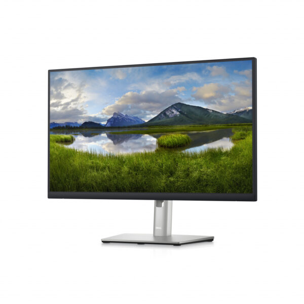 DELL P Series 24 inch QHD Monitor - P2423D - Afbeelding 2