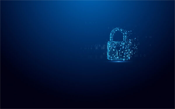 Kingston Technology IronKey 32GB Vault Privacy 50 AES-256 versleuteling, FIPS 197 - Afbeelding 4