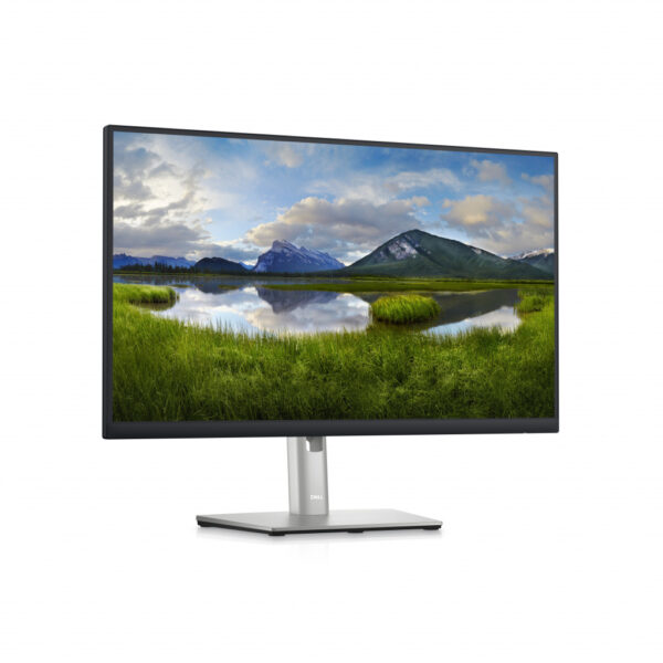 DELL P Series 24 USB-C-hubmonitor: P2423DE - Afbeelding 4