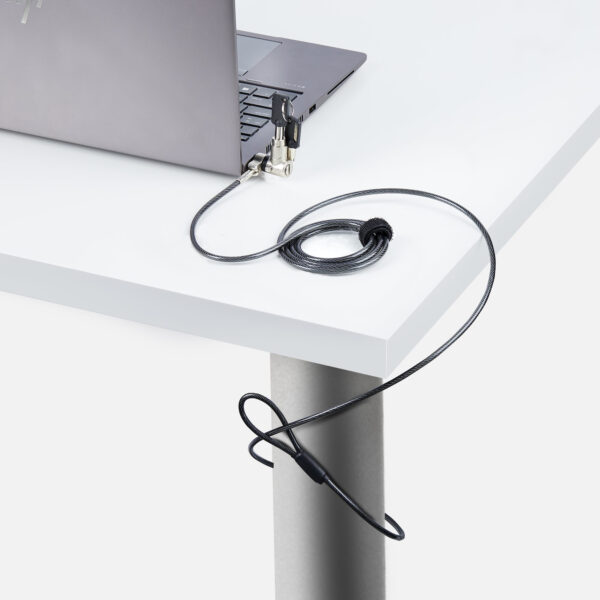 StarTech.com 3-in-1 Universeel Laptop Kabelslot, 2m Security Kabel met Master Key, Computer Beveiliging, Compatibel met Noble We - Afbeelding 7