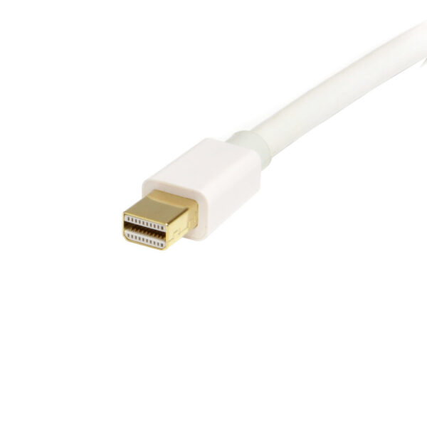 StarTech.com 2m Mini DisplayPort naar DisplayPort 1.2 Kabel - 4K x 2K UHD Mini DisplayPort naar DisplayPort Adapter Kabel - Mini - Afbeelding 2
