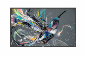 Philips 55BDL3650QE/00 beeldkrant Digitale signage flatscreen 138,7 cm (54.6") Wifi 350 cd/m² 4K Ultra HD Zwart Type processor A