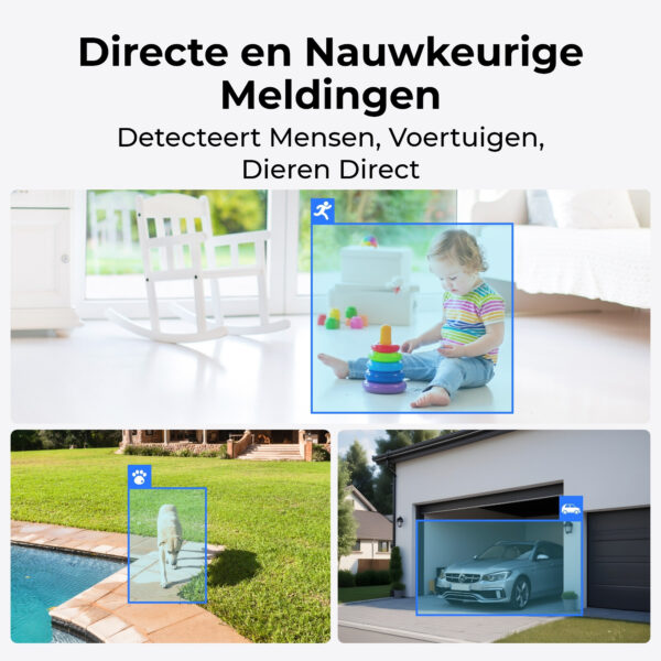 Reolink Argus Series Argus-serie B310 met zonnepaneel - Afbeelding 2