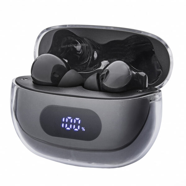 Intenso Buds Earphone Plus T310AE Black Hoofdtelefoons True Wireless Stereo (TWS) In-ear Gesprekken/Muziek/Sport/Elke dag USB Ty - Afbeelding 3