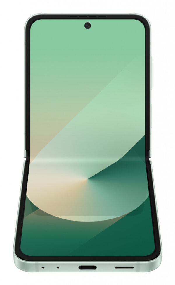 Samsung Galaxy Z Flip6 - Afbeelding 6