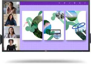 DELL P5524QT Interactief flatscreen 139,7 cm (55") LCD 350 cd/m² 4K Ultra HD Zwart Touchscreen