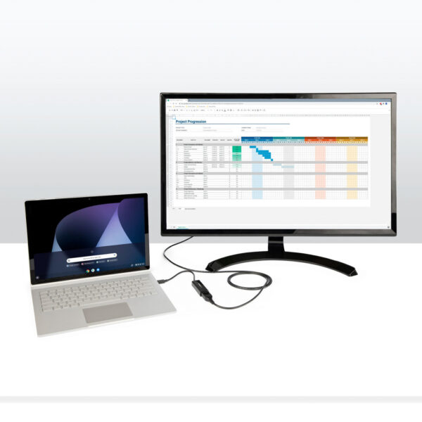 StarTech.com 2 m DisplayPort 1.4 kabel VESA gecertificeerd - Afbeelding 2