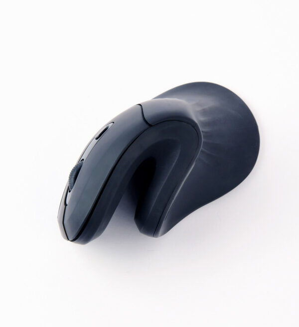 Gembird MUSW-ERGO-03 muis Thuis Rechtshandig RF Draadloos Optisch 1600 DPI - Afbeelding 3