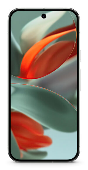 Google Pixel 9 Pro XL