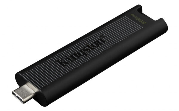 Kingston Technology DataTraveler 256GB Max 1000R/900W USB 3.2 Gen 2 - Afbeelding 6