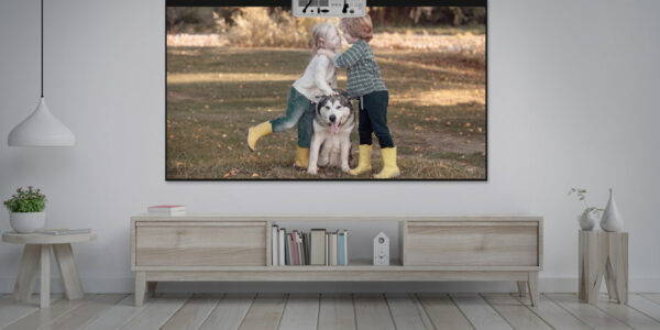 Optoma UHZ35ST Projector met korte projectieafstand 3500 ANSI lumens DLP UHD 4K (3840x2160) 3D Wit - Afbeelding 12