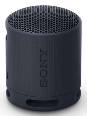 Sony SRS-XB100 Mono draadloze luidspreker Zwart