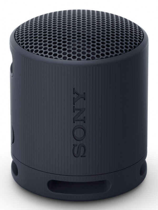 Sony SRS-XB100 Mono draadloze luidspreker Zwart