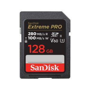 SanDisk SDSDXEP-128G-GN4IN flashgeheugen 128 GB SDXC UHS-II Klasse 10