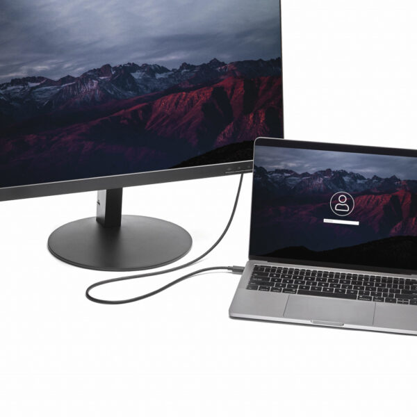 StarTech.com USB-C naar DisplayPort adapter kabel 1,8 m 4K / 60 Hz - Afbeelding 3