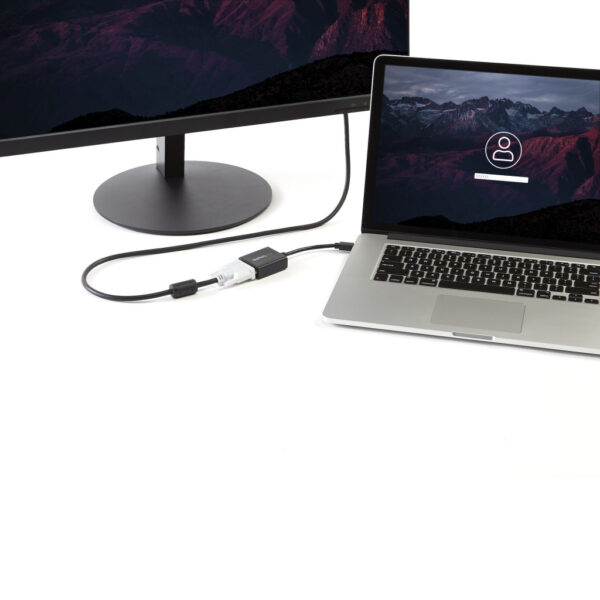 StarTech.com Mini DisplayPort naar DVI Video Adapter Converter - Afbeelding 2