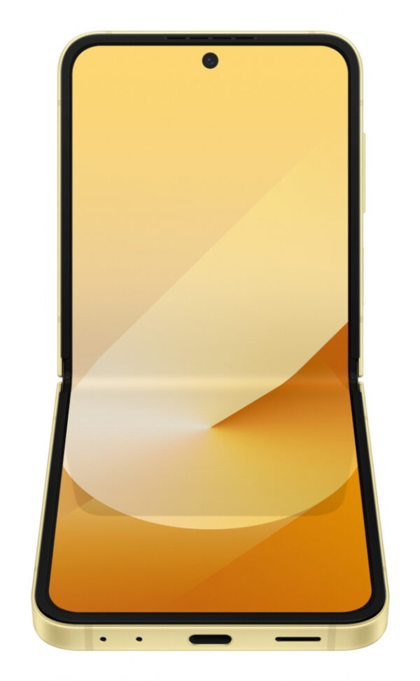 Samsung Galaxy Z Flip6 - Afbeelding 6