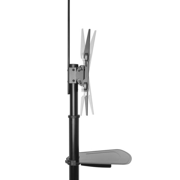 ACT Verrijdbare tv/monitor vloersteun, 37" t/m 70", VESA - Afbeelding 3