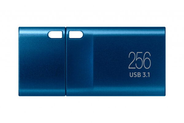 Samsung MUF-256DA USB flash drive 256 GB USB Type-C 3.2 Gen 1 (3.1 Gen 1) Blauw - Afbeelding 3