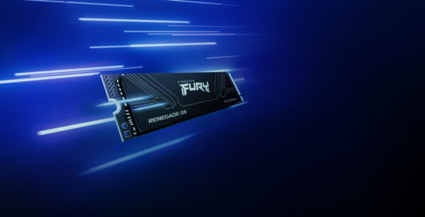 Kingston Technology 4T FURY RENEGADE G5 M.2 2280 NVMe SSD - Afbeelding 9