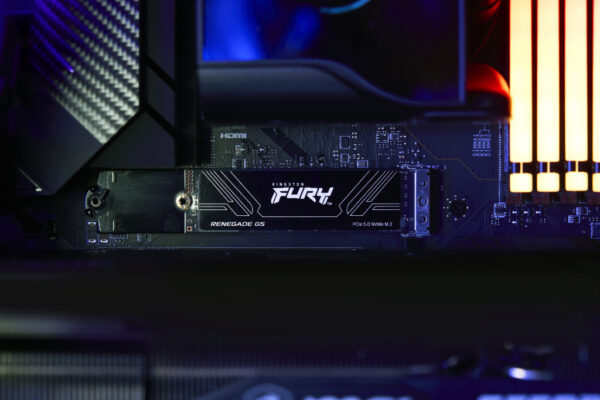 Kingston Technology 4T FURY RENEGADE G5 M.2 2280 NVMe SSD - Afbeelding 11