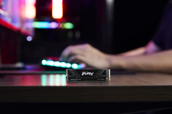 Kingston Technology 4T FURY RENEGADE G5 M.2 2280 NVMe SSD - Afbeelding 8