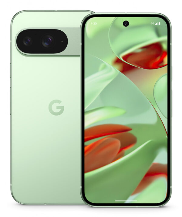 Google Pixel 9 - Afbeelding 3