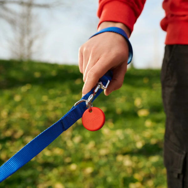 Chipolo POP Universeel Finder Geel - Afbeelding 6
