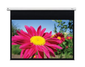 Optoma DE-1123EGA projectiescherm 3,12 m (123") 16:10
