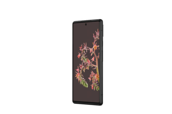 Google Pixel 6 16,3 cm (6.4") Dual SIM Android 12 5G USB Type-C 8 GB 128 GB 4614 mAh Zwart