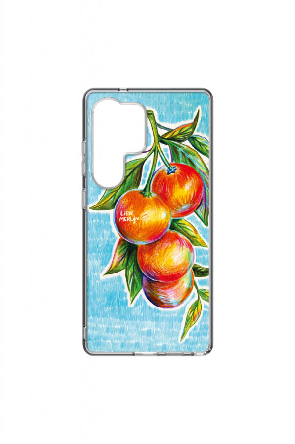 Samsung Galaxy S25 Ultra Lieve Merlijn Mandarin Hybrid Case Anymode