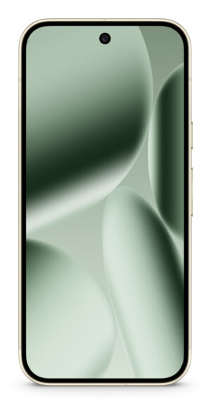 Google Pixel 10 Pro 16 cm (6.3") Dual SIM Android 16.0 5G 16 GB 256 GB 4870 mAh Groen
