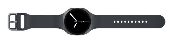 Samsung SM-L325FDAAEUB smartwatch / sport watch 3,3 cm (1.3") AMOLED 40 mm Digitaal 438 x 438 Pixels Touchscreen 4G Grafiet Wifi - Afbeelding 5