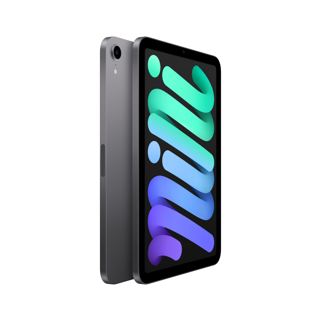 Apple iPad mini 256 GB 21,1 cm (8.3") Wi-Fi 6 (802.11ax) iPadOS 15 Grijs - Afbeelding 2