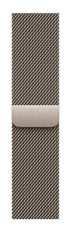Apple MGHV4ZM/A slimme draagbare accessoire Band Natuurlijk Roestvrijstaal