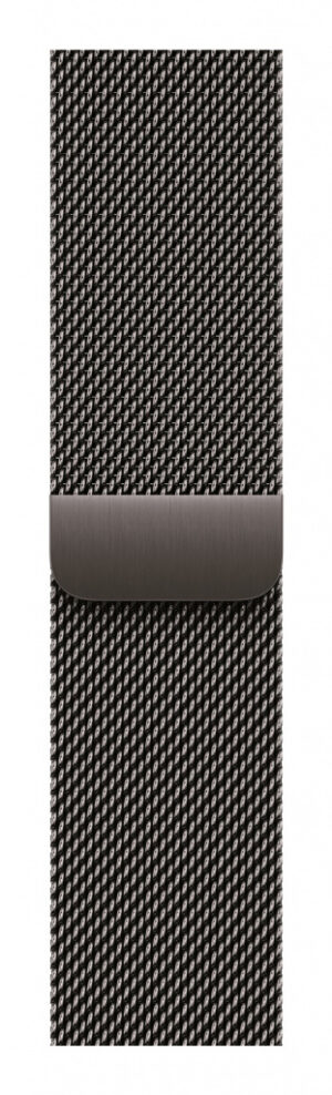 Apple MGHX4ZM/A slimme draagbare accessoire Band Leisteenkleur Roestvrijstaal