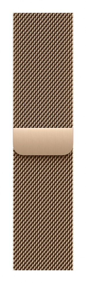 Apple MGHW4ZM/A slimme draagbare accessoire Band Goud Roestvrijstaal