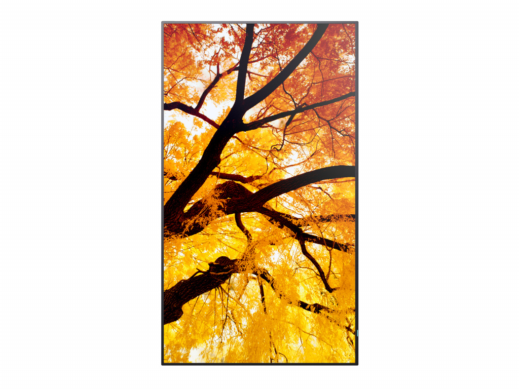 Sharp MultiSync M432 Digitale signage flatscreen 108 cm (42.5") LCD 550 cd/m² 4K Ultra HD Zwart - Afbeelding 3