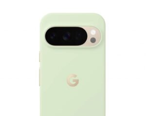 Google Pixelsnap mobiele telefoon behuizingen 17,3 cm (6.8") Hoes Groen