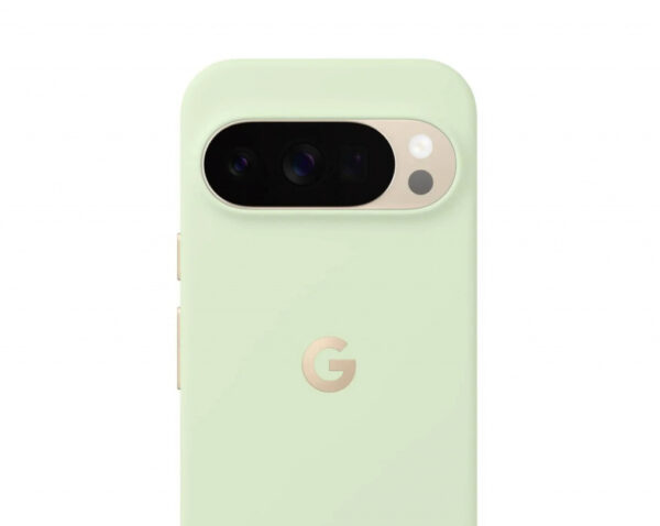Google Pixelsnap mobiele telefoon behuizingen 17,3 cm (6.8") Hoes Groen