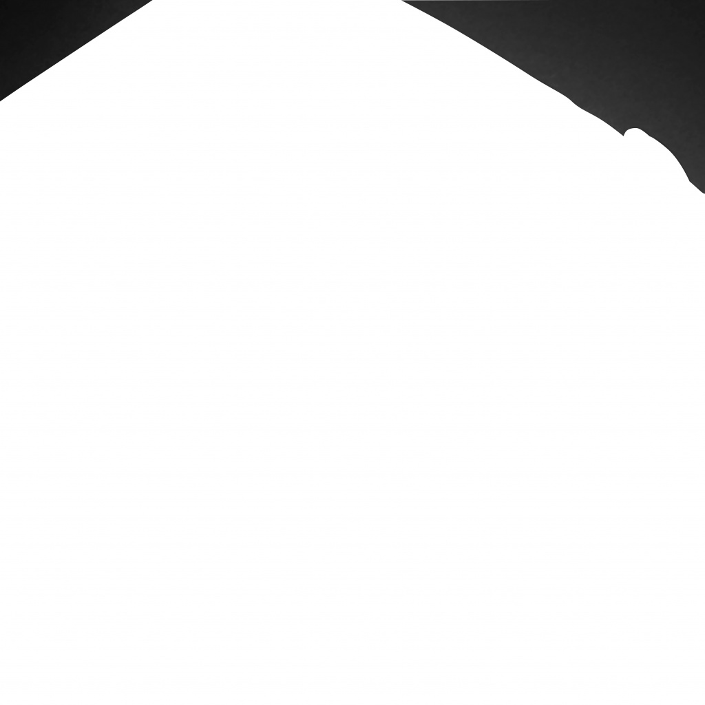 HP Professional 17,3-inch rugzak - Afbeelding 3